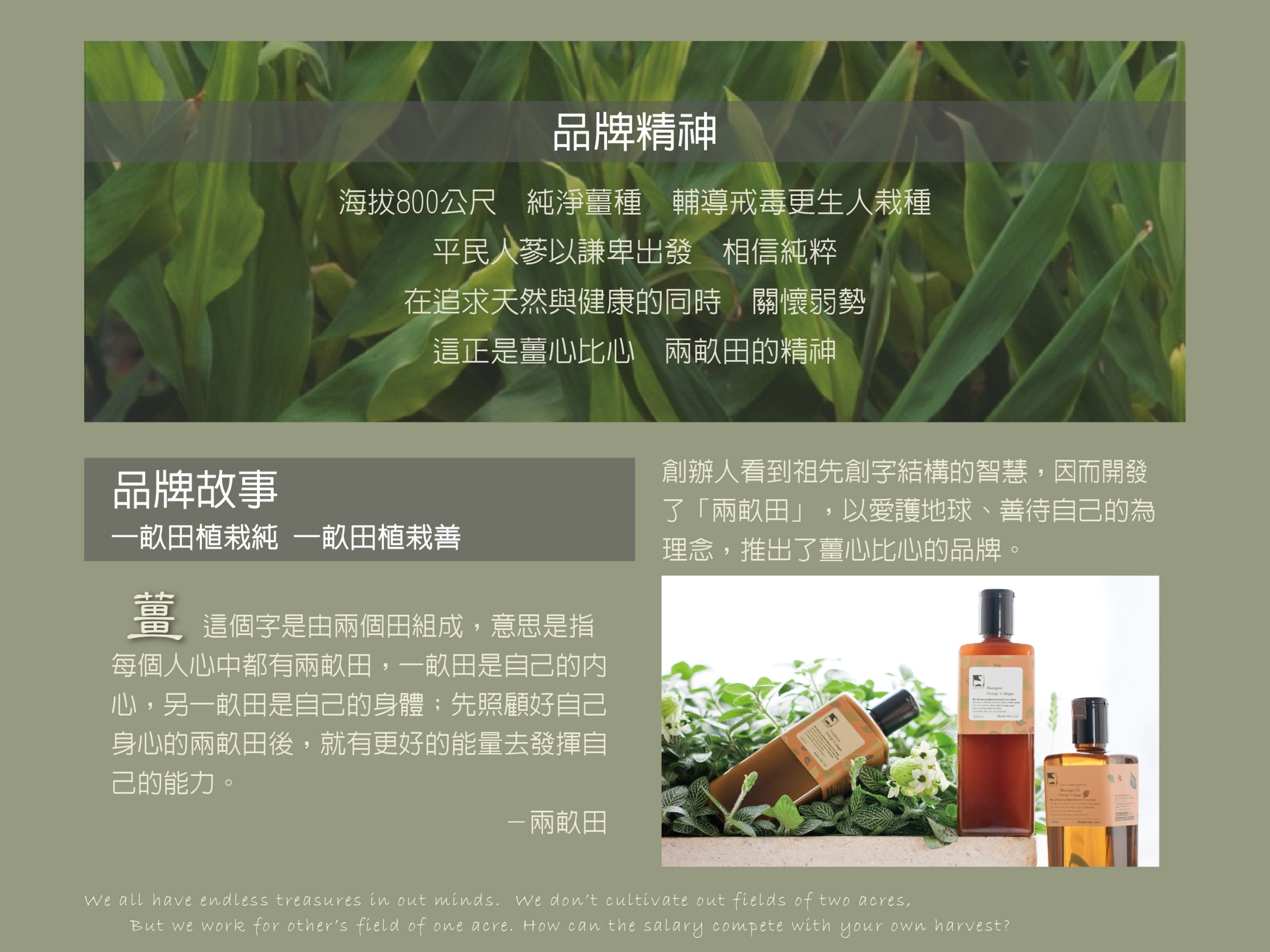 本頁檔案 | 2