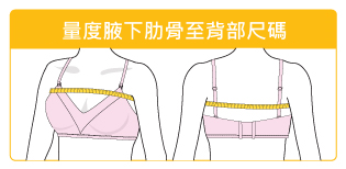 本頁檔案 | 1