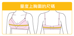 本頁檔案 | 2